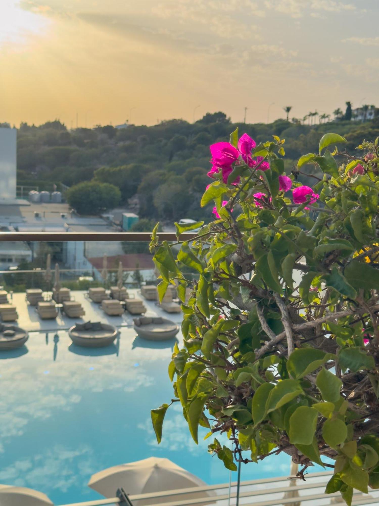 Amarande (Adults Only) Hotel Айя Напа Екстериор снимка Bougainvillea